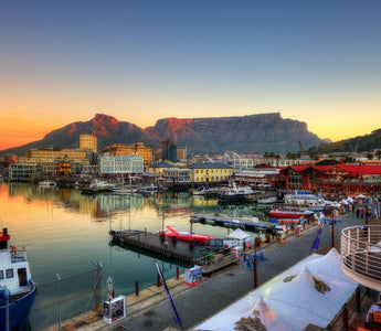 South Africa Journey: From Table Mountain to the Wild Coast