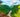 Kaieteur Falls flowing into the Potaro River in the rainforest of Guyana.